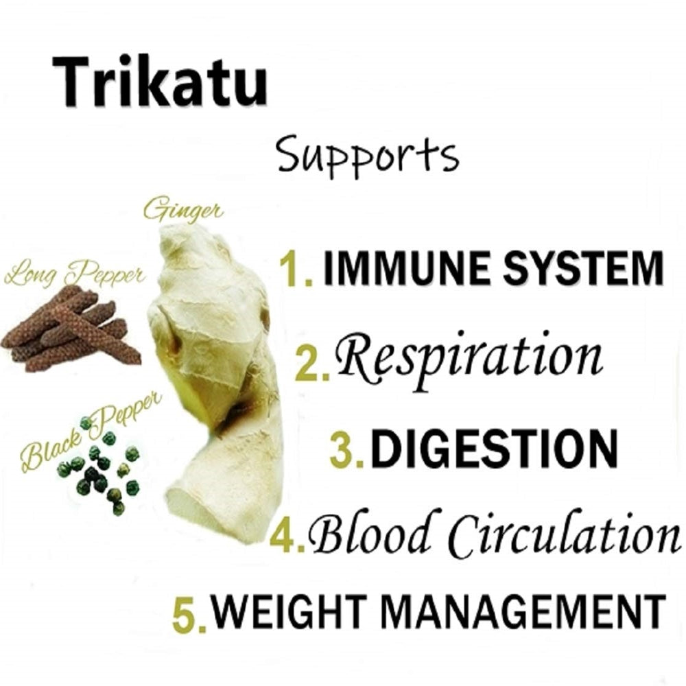 Himalaya Pure Herbs Trikatu Digestive Wellness